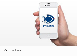 Mobil-Telefon_Contact-us_250x182
