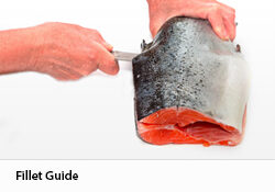Fillet-Guide_Fillet-Guide_250x182