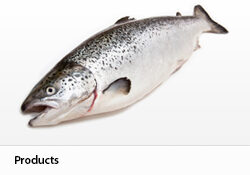 Fisk_Products_250x182
